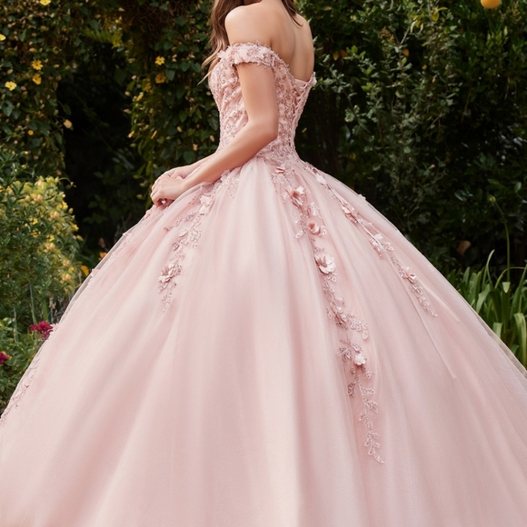 COPY - Rose gold off shoulder ball gown quencenara pageant prom party dress - Picture 4 of 8